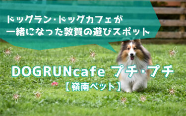 敦賀のドッグラン・ドッグカフェが一緒になったお店「DOGRUNcafe プチ・プチ」をご紹介【嶺南ペット】