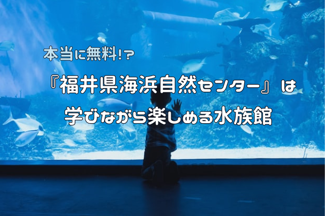 本当に無料！？『福井県海浜自然センター』は学びながら楽しめる水族館【