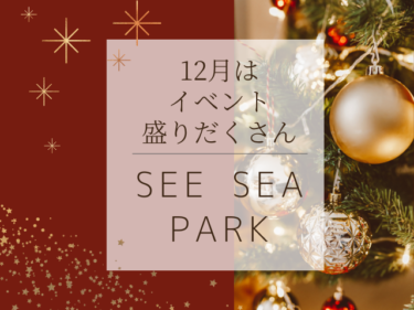 12月のシーシーパークはイベント盛りだくさん！クリスマス気分を楽しもう【嶺南イベント】