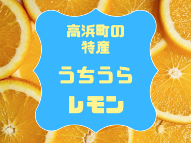高浜町の特産『うちうらレモン』の収穫始まる！レモネードや石鹸にも使われる魅惑のレモン【嶺南話題】