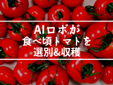 ロボットが食べ頃トマトを選別&収穫する時代へ！高浜町でAI実証実験【嶺南話題】